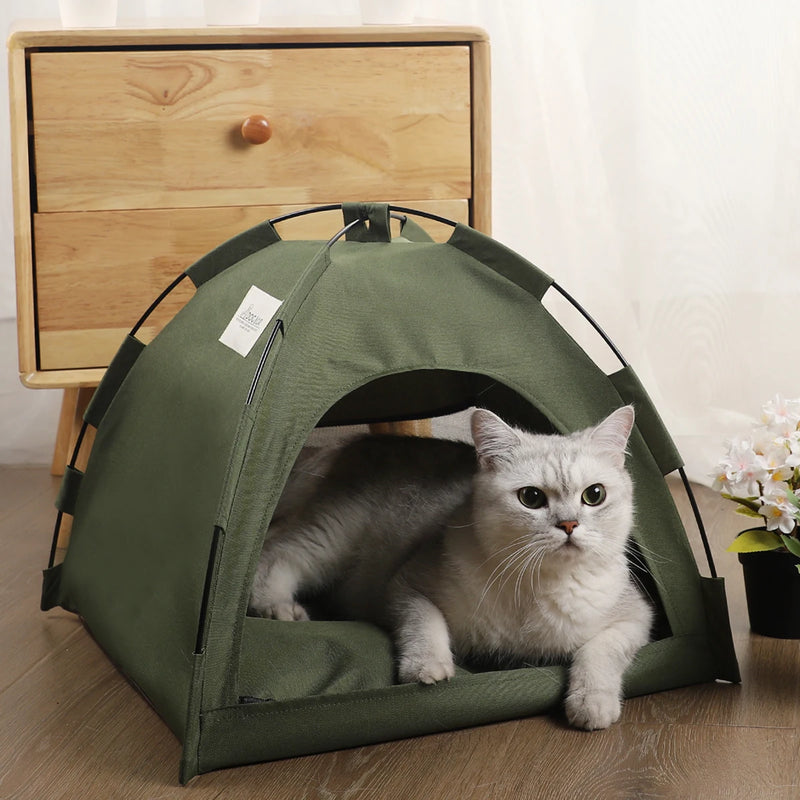 Cama tenda para pet