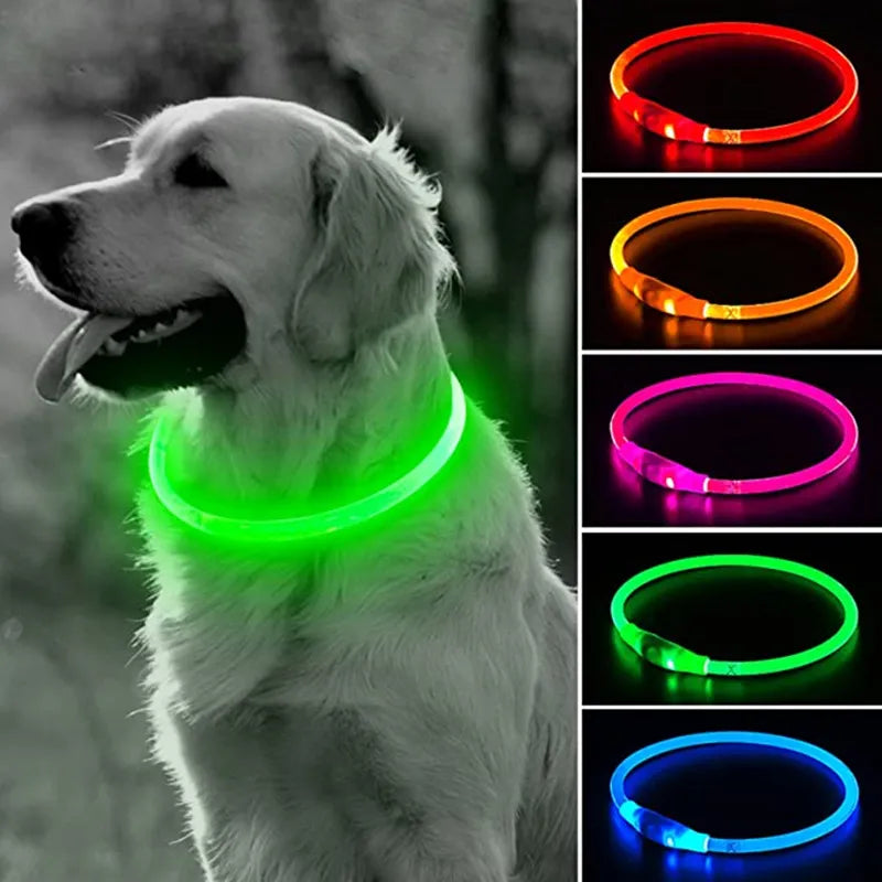 Coleira LED para cães