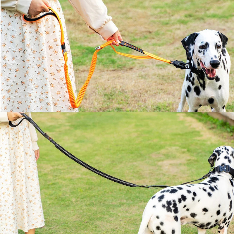 Guia para cachorro elástica multifuncional