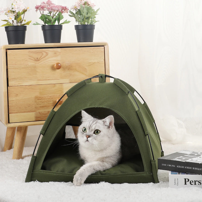 Cama tenda para pet