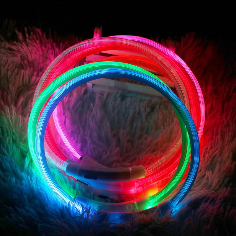 Coleira LED para cães